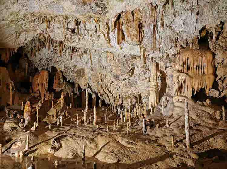 Postojna Cave – The Underground World