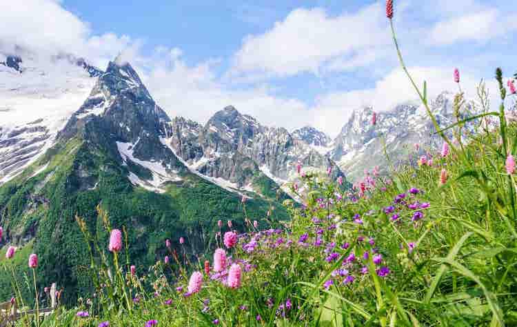 Alpine Elegance