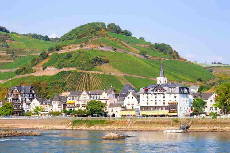 terraced-vineyards