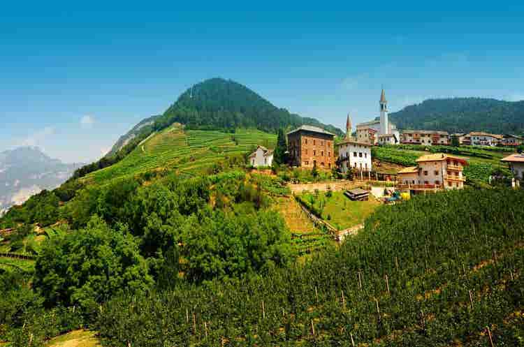 Langhe – Landscape and Gastronomy