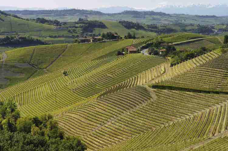 Prosecco