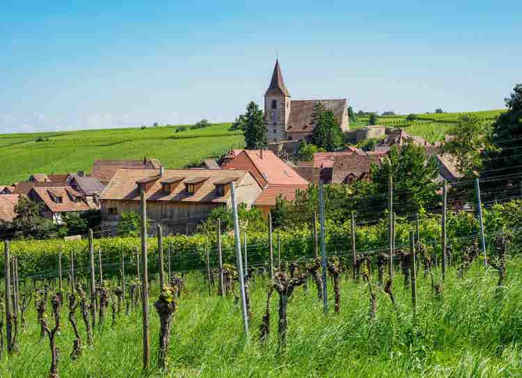 France Terroir Time